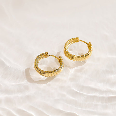 Golden Hoop Earrings