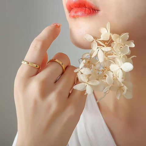 Custom Hip Hop Fashion Jewelry Red Cubic Zircon Rings Gold Silver Plated 316L Stainless Steel for Women Bague CLASSIC